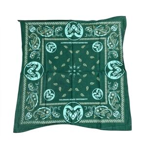 Vintage Green Paisley Scarf